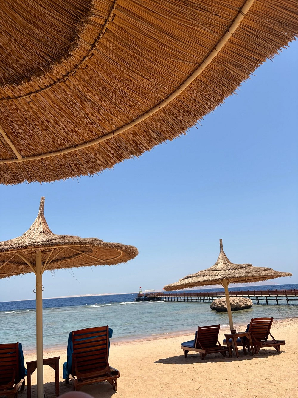 Cleopatra Luxury Resort Adults Only image 5