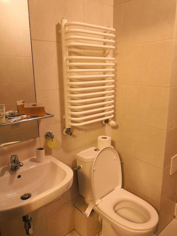 Hotel Alexander II image 4