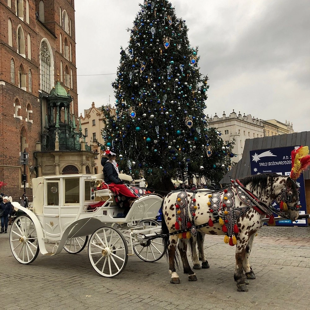 Hotel Downtown Krakow