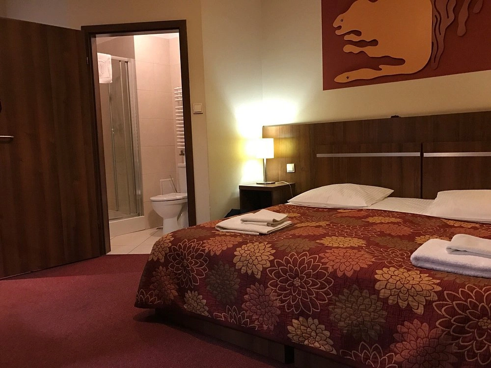 Hotel Downtown Krakow