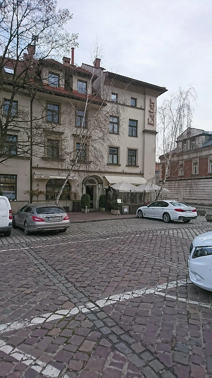 Hotel Ester