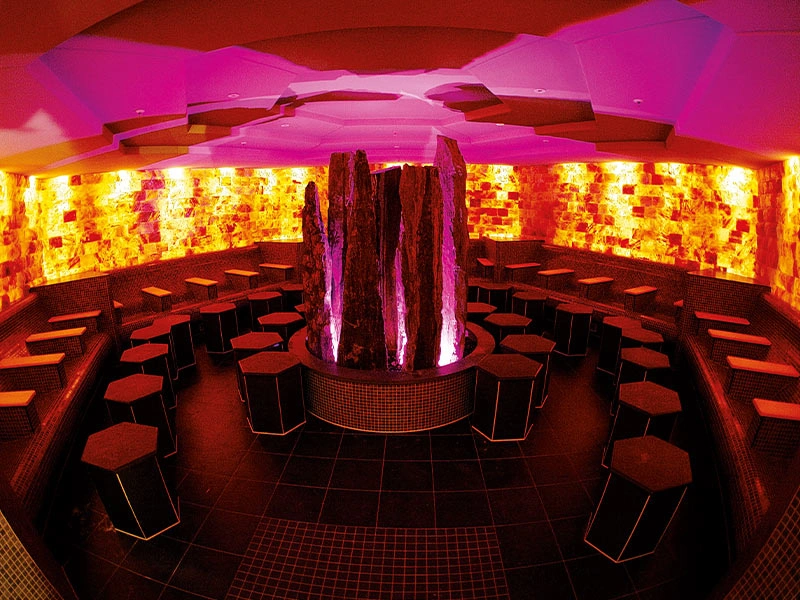 The Social Hub Berlin