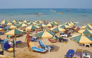 Cactus Beach