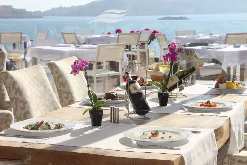 Palmalife Hotel