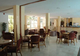 Gallery 4