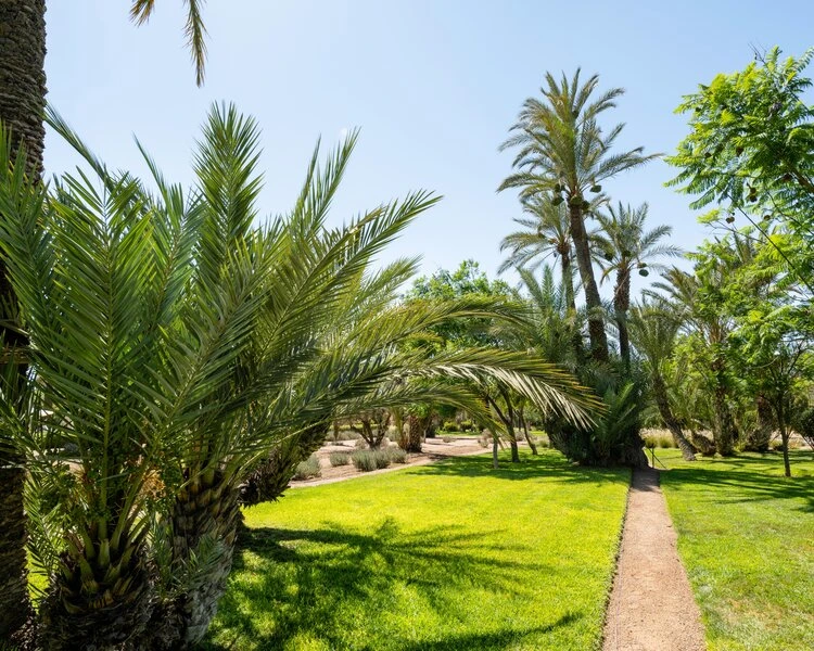 Barceló Palmeraie Oasis Resort