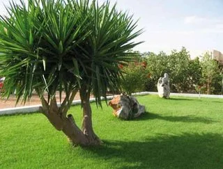Angela Suites Boutique Hotel