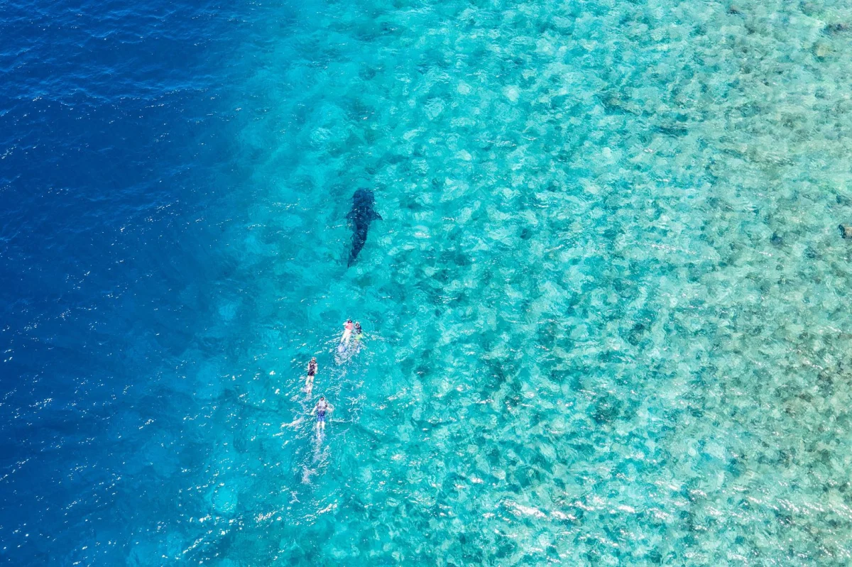 Lux South Ari Atoll Maldives