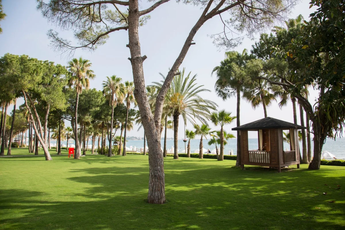 Acanthus Cennet Barut Collection