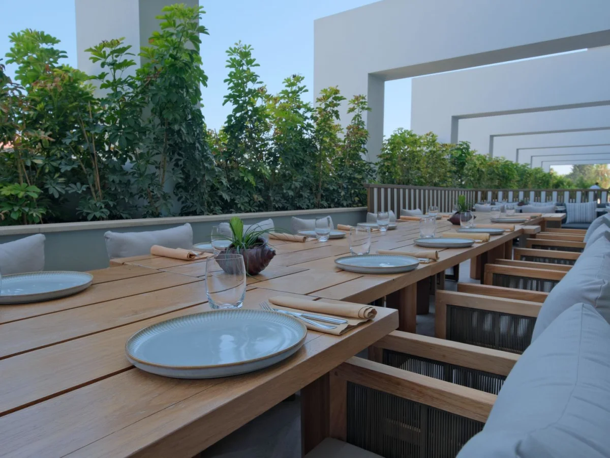 Acanthus Cennet Barut Collection