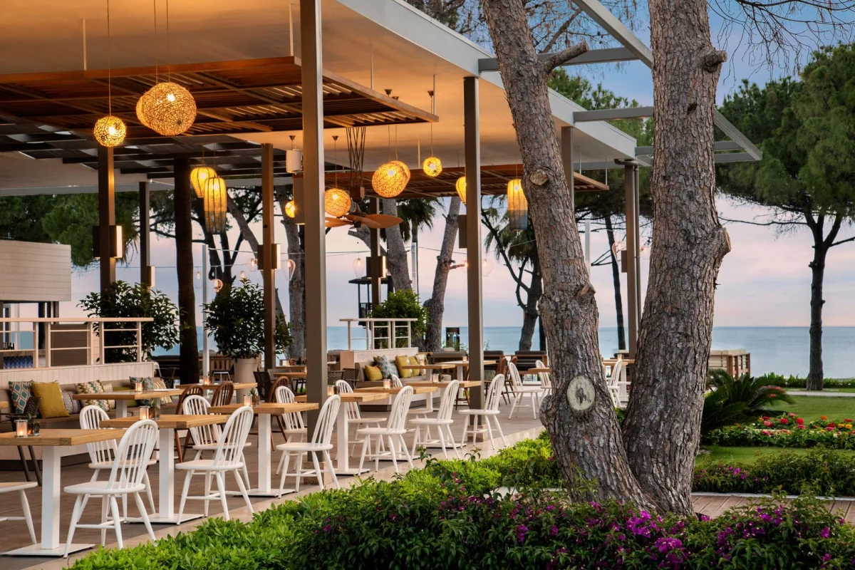 Acanthus Cennet Barut Collection
