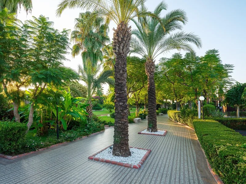  Aydinbey Famous Resort