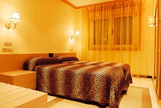 View More