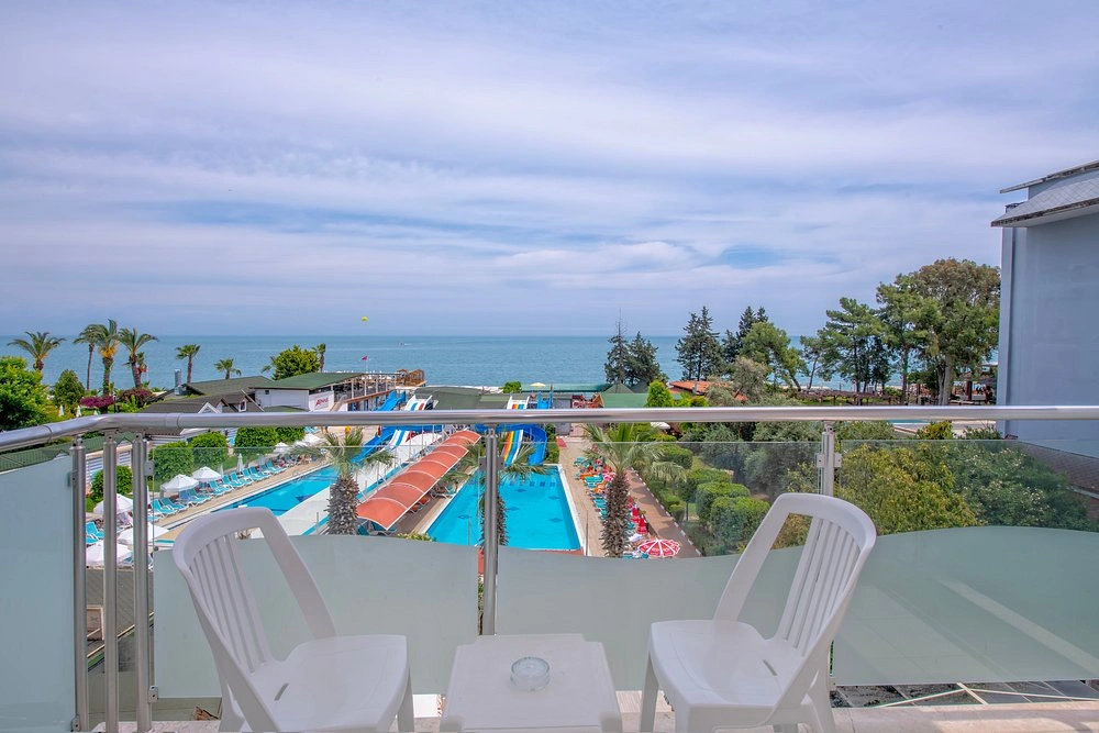 View More